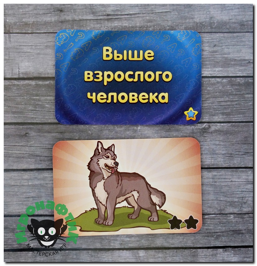 Настольная игра Соображарий