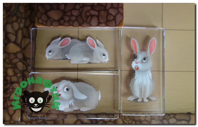 Настольная игра Вниз по кроличьей норе